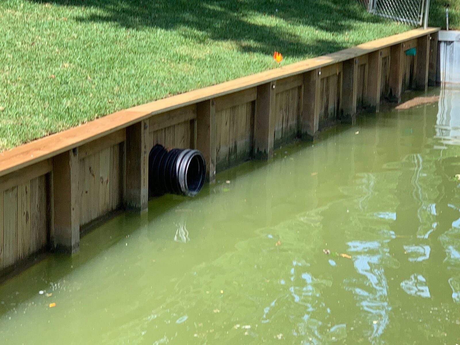 Timber bulkhead finished with a smooth wooden cap at lawn level, with a corrugated drain pipe discharging through the wall to the water