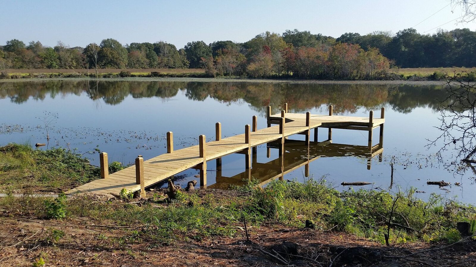 Long wooden walkway pier ending in a T-shaped platform over still water at a wooded shoreline