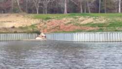 Richmond Interlocking Galvanized Steel Sheet-Piling